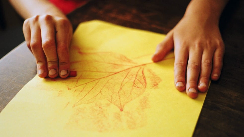 leaf rubbing with crayons